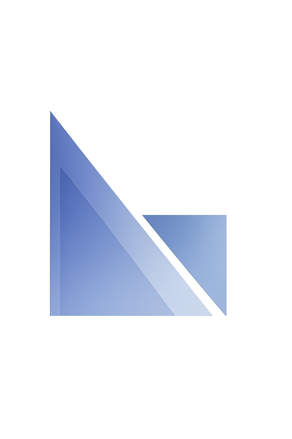 Nizam Ali & Company Logo